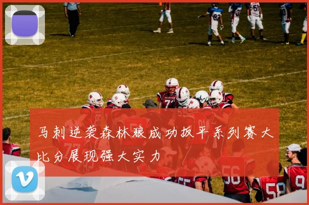 马刺逆袭森林狼成功扳平系列赛大比分展现强大实力