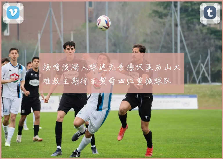 杨鸣谈湖人球迷无奈感叹亚历山大难救主期待东契奇回归重振球队