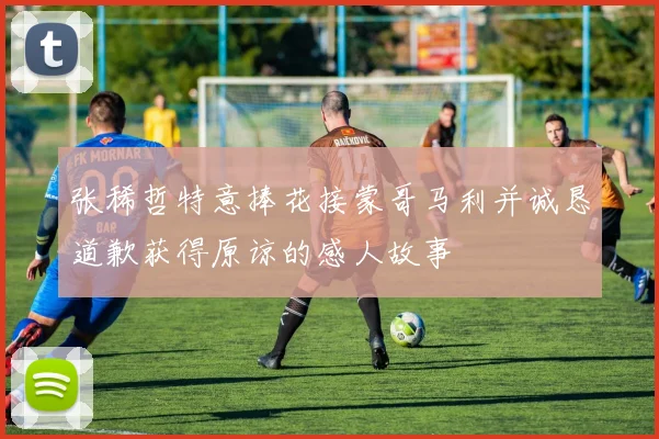 张稀哲特意捧花接蒙哥马利并诚恳道歉获得原谅的感人故事